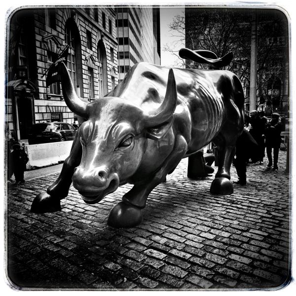 charging bull