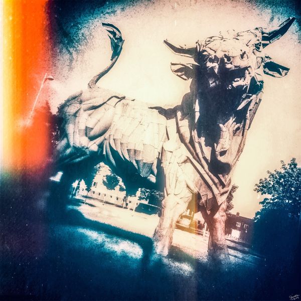 de stier