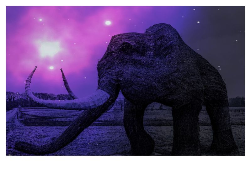 mammoth