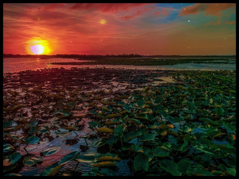 sunset over the everglades